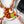 West Bend Cooking Digital Air Fryer